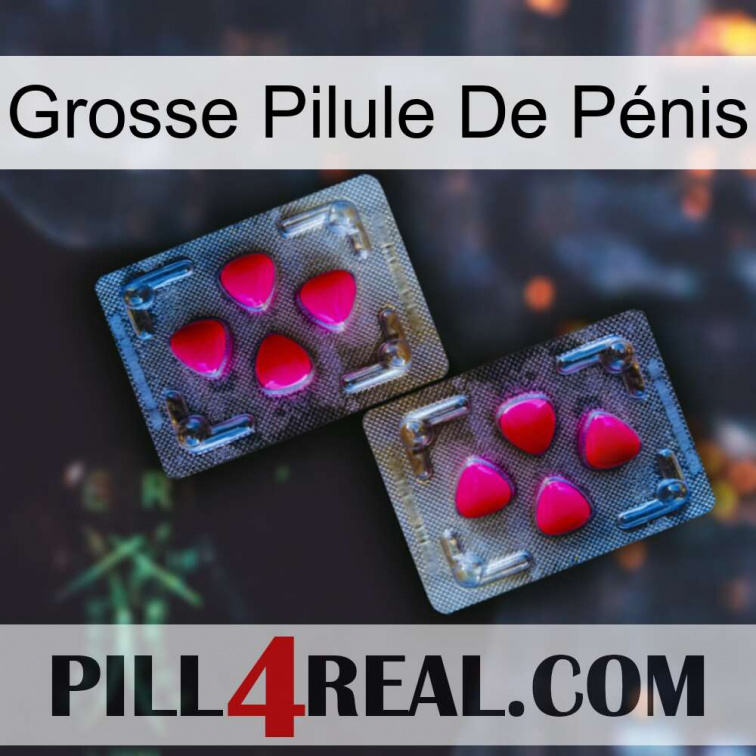 Grosse Pilule De Pénis 15